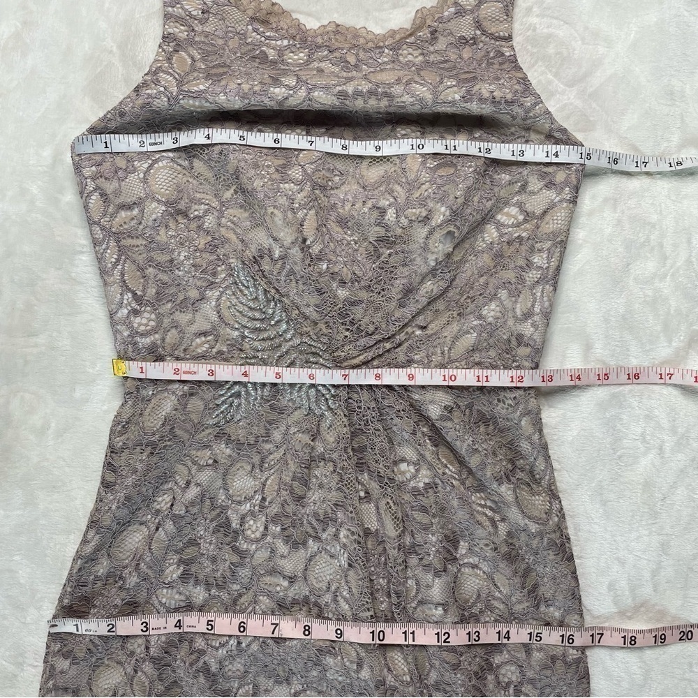 Zac Posen Truly Guipure Lace Sleeveless Special Occasion Dress in Gray Silver 2 - Picture 14 of 16